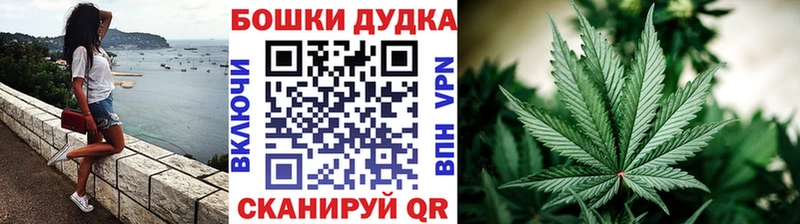 Сколько стоит Волхов КОКАИН  МДМА  А ПВП  omg как войти  Меф мяу мяу  Каннабис 