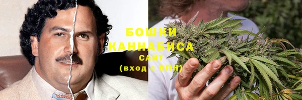 spice Белокуриха