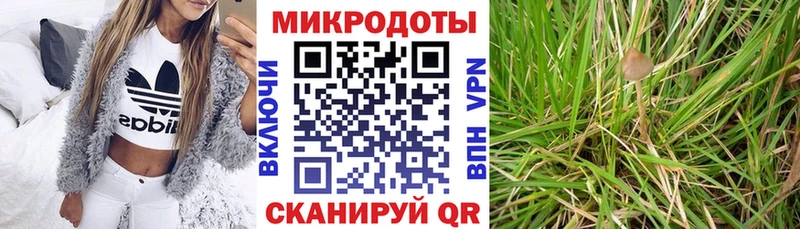 KRAKEN рабочий сайт  Волхов  Псилоцибиновые грибы Psilocybe 
